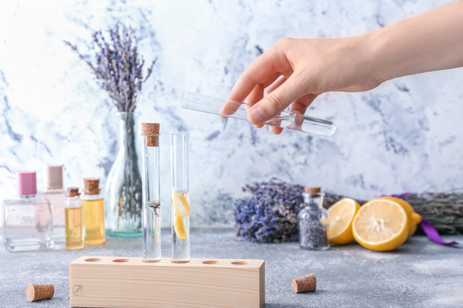 Crafting Fragrances for Aromatic Surroundings