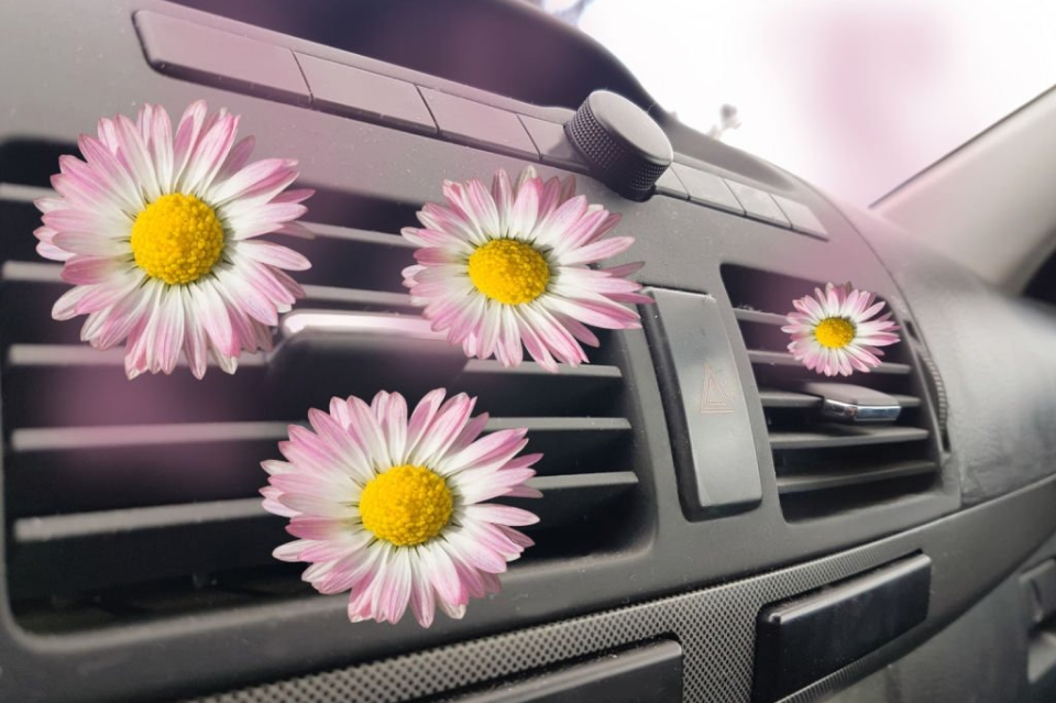 Eco-Friendly Car Fragrances Manufacturer in Ahmedabad